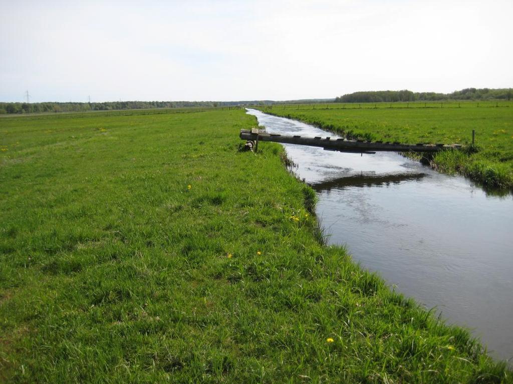 Bilaga C Restaurering av