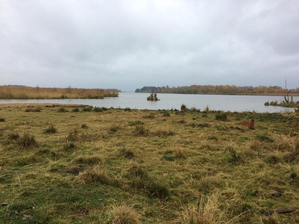 KÖPINGS KOMMUN Sjöledning för utbyggnad av vatten- och avlopp till norra mälarstranden UPPDRAGSNUMMER 1554188000 MKB FÖR TILLSTÅNDSANSÖKAN OM VATTENVERKSAMHET,