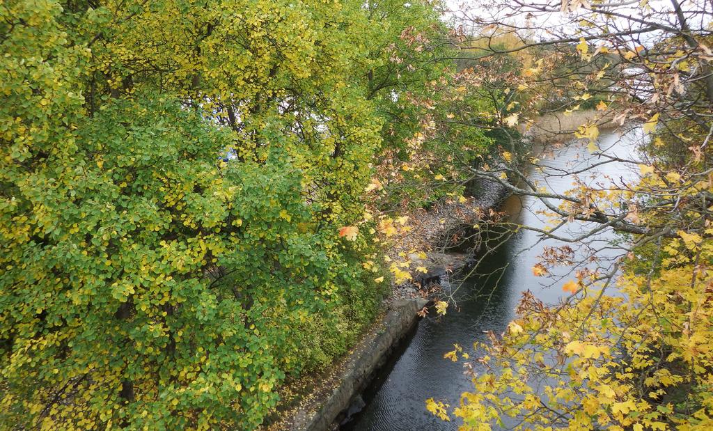 3 5 Foto från Roslagsvägen över Ålkistan och i överkant skymtar Lilla Värtan.