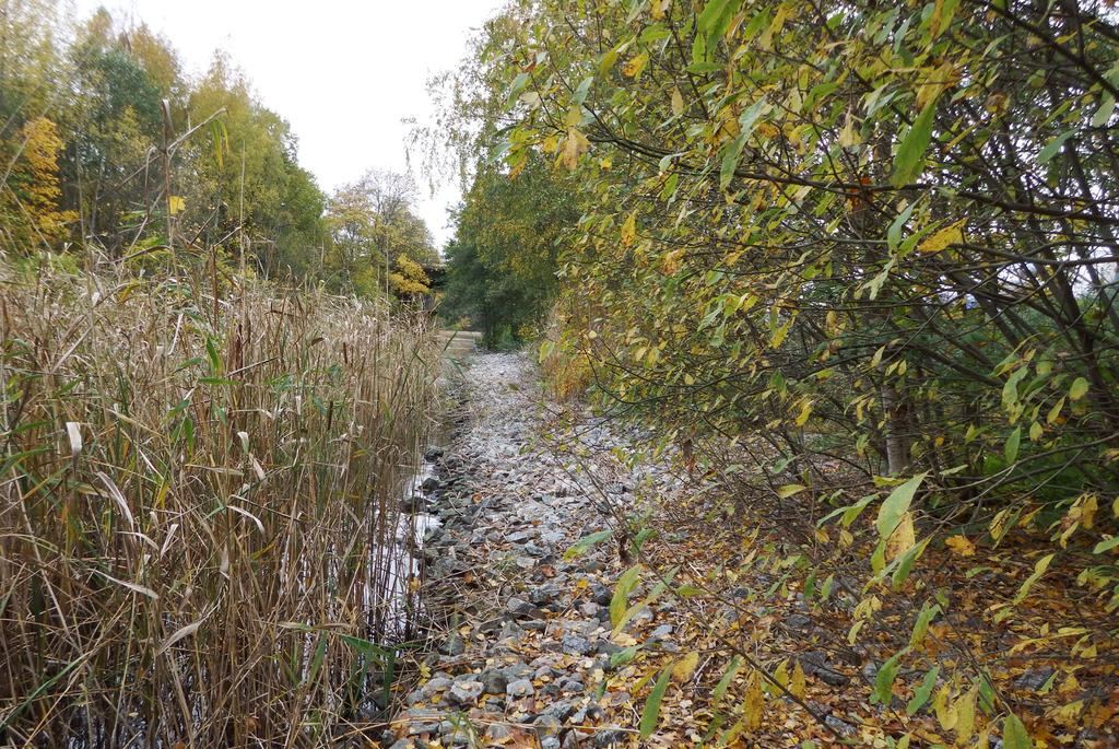 Sammanfattning En naturvärdesinventering har utförts av området Sfären i sydöstra delen av Bergshamra i Solna kommun, inför planerad bostadsexploatering av området.