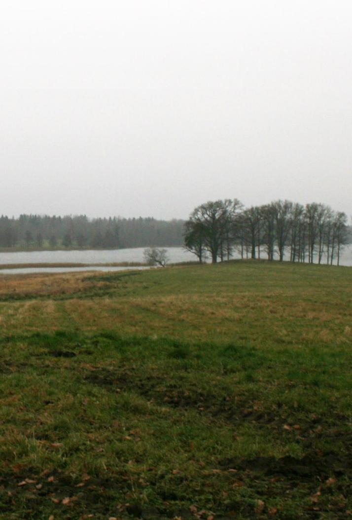 Om Gullspångs kommun Framtidsvisioner Framtidsvisionerna för Gullspångs kommun finns samlade i gällande översiktsplan från 2011, Vision 2020.