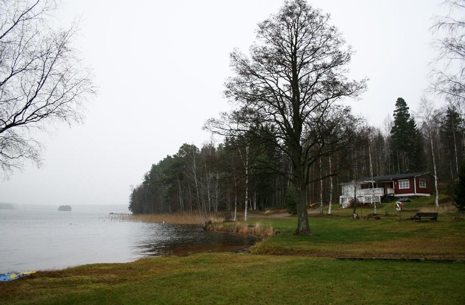 G5. Runnäs Förutsättningar Utredningsområdet ligger längst norrut i kommunen vid Edsviken i Skagern, i gränslandet till Värmlands län.
