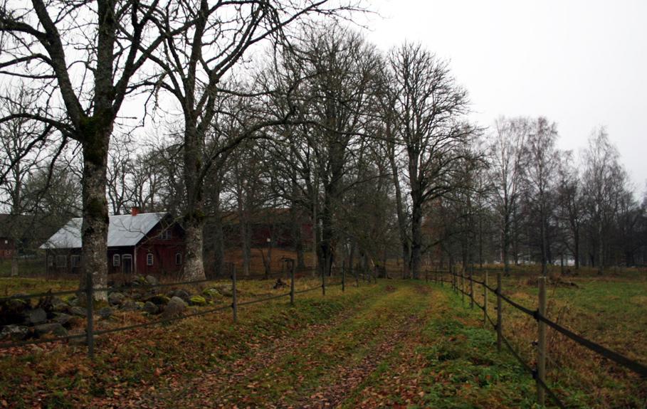 Miljökonsekvenser Grundläggande hushållningsbestämmelser Området omfattas inte av riksintressen. LIS-områden inom Hjulstanäs är avgränsade med hänsyn till nyckelbiotoper och betesmarker.