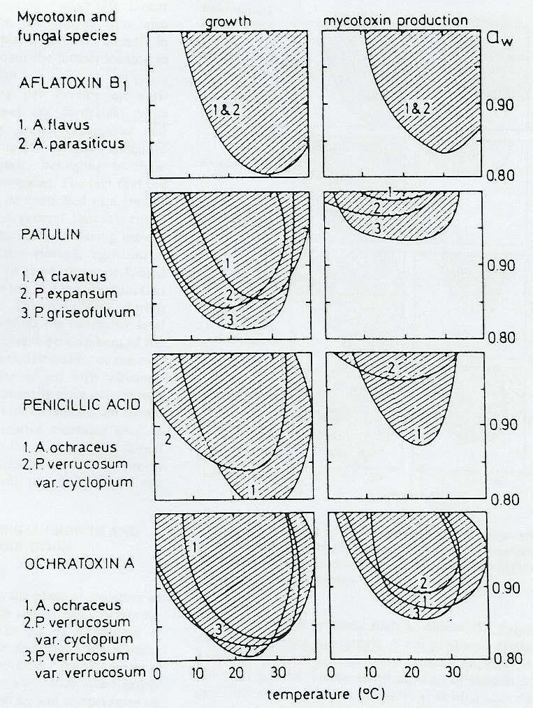 Fig. 12.4.