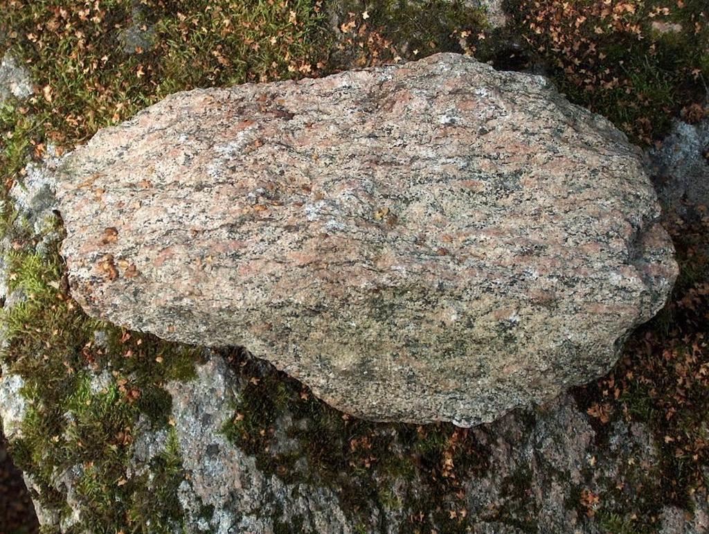 Kaolinvittrad järngnejs