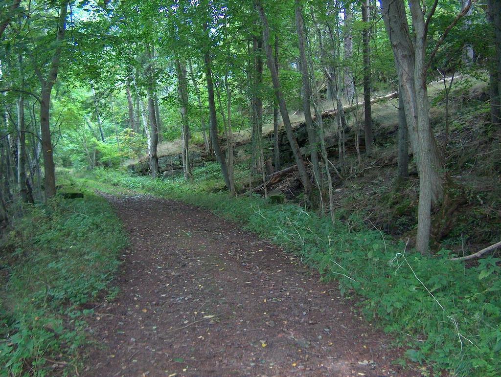 Återmarsch