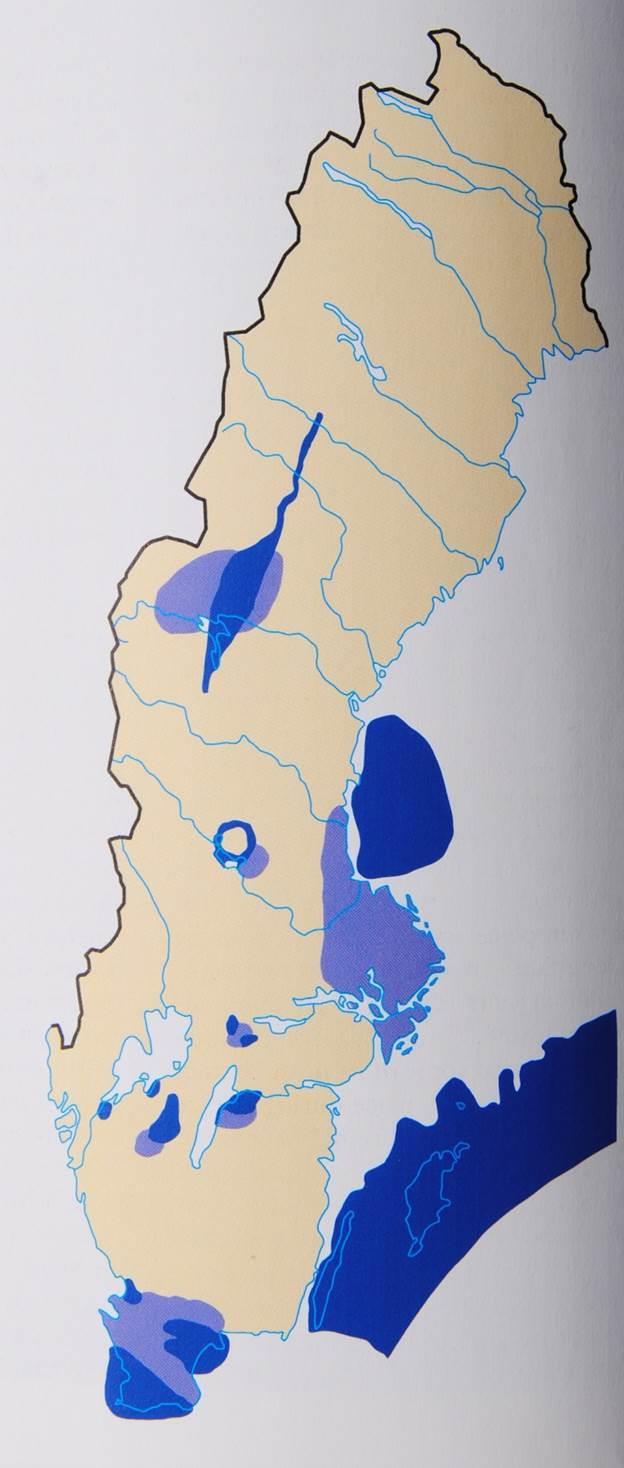 Förekomst av