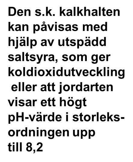 med kalkstenar och