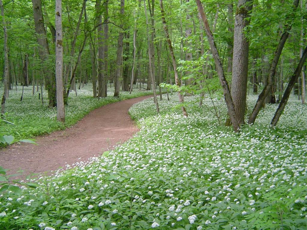 Promenadväg genom