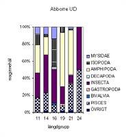maginnehåll maginnehåll Abborre UD 4 17 16 11 17 4 Antal fiskindivider 39 62 65 49 178 2 Antal bytesdjur Abborre UG 6 7 9 18 11 6 1 1 Antal fiskindivider 5 33 40 439 387 269 2 2 Antal bytesdjur