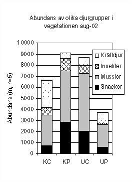 Phytofauna I anslutning till vegetationen på grunda bottnar lever normalt ett stort antal arter och individer av djur. Vid årets provtagningar var både art- och individantalet särskilt högt.