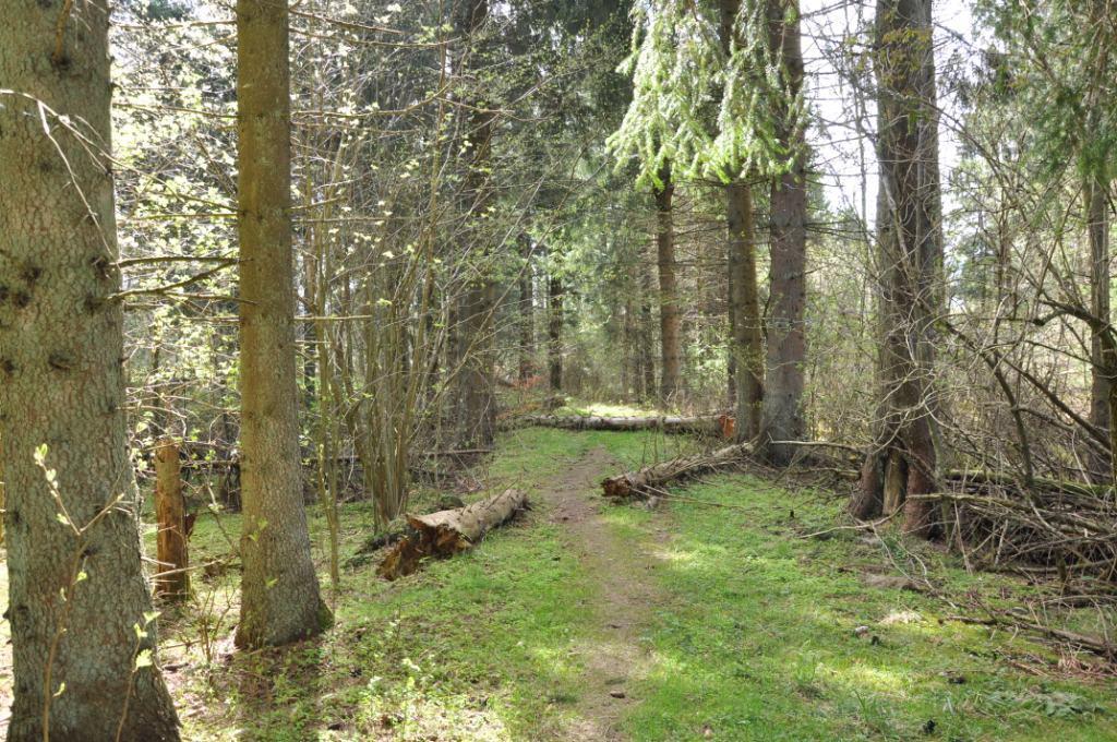 Hörby Stänkelösa 7:7 Mindre skog vid Önneköp, Hörby Byggnadsfri skogsfastighet om drygt 3 ha i Stänkelösa öster om Önneköp. Helt avskilt läge längst ut på grusväg/traktorväg.