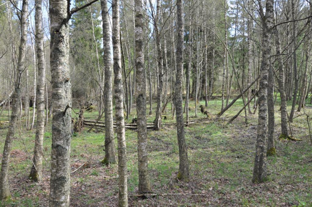 Hörby Stänkelösa 7:7 Rättsförhållanden Fastighet Fastighetsbeteckningen är Hörby Stänkelösa 7:7 och fastigheten är belägen i Hörby kommun, Hörby församling.
