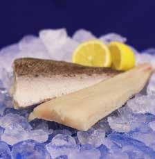 Zeeland 1 kg Sanford Art. nr. 4999 39 00 Ord.