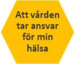 Vid stor oro över den egna hälsan eller vid svåra sjukdomar beskrivs en önskan att sjukvården tar hand om och ansvarar för ens hälsa.