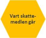 e-tjänster. Samma behov finns för äldre multisjuka, eller vid fall av våld i nära relationer där ett fysiskt besök är nödvändigt.