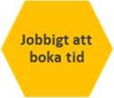 vårdpersonalen eftersom tolken har kort om tid SFI-elever Oberoende Kostnadsbesparing Kunskapskälla