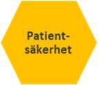 Om Integritet och säkerhet, kategorier Att sjukvårdens rutiner och verktyg måste vara patientsäkra kommer fram - att patientsäkerhetsrisker kan uppstå om tekniken fallerar.