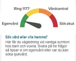 Självbedömningssnurran på 1177.se (Sök vård eller vila hemma-funktionen) får positiv uppmärksamhet från flera håll, och här ser deltagarna gärna en vidareutveckling.