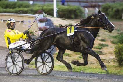 roline Greger Fajersson Kr 0/- 7/60 6 5,8a c c, 5' Uppf: Hillerlöv jörkman G & jörkman K Catrin Fajersson Kr 7/-6 /0 6, c c 36,6 5' Äg: Team Dillner Trav H, Östersund Monté Jimmy Dillner Hg 3/7-6