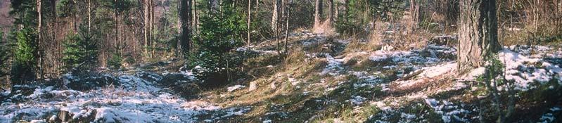 Denna var belägen på Kärringberget norr om Baggetorp (Vibyholm) i Ripsa socken intill sjön Båvens sydligaste del.