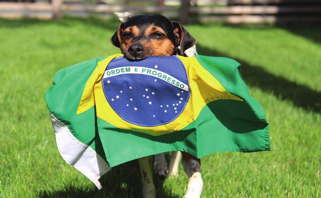 Marina och hennes hanhund Pinguim do Taboão fick i uppdrag av Pedigree hundfoder att spela in en reklamfilm som visades över hela Brasilien.