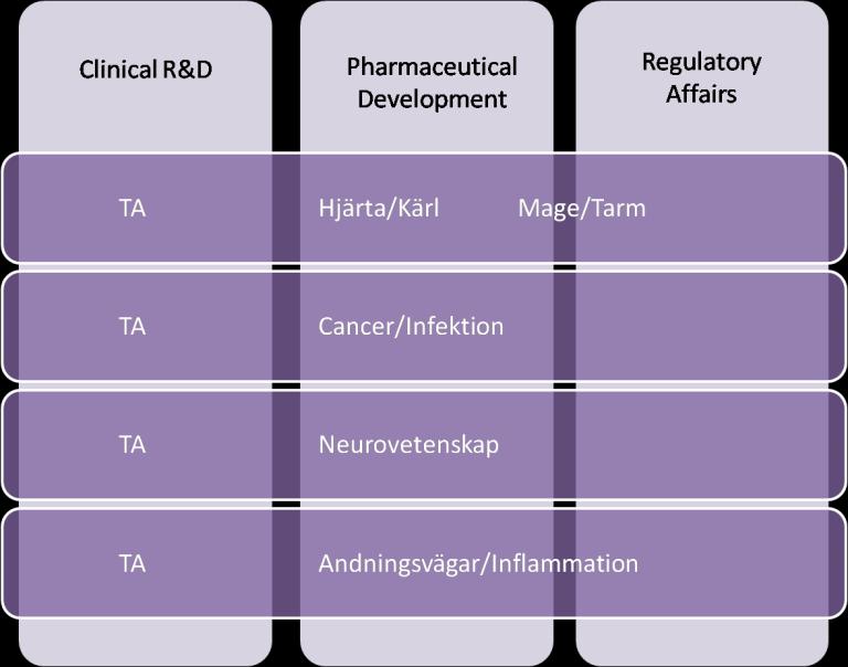 Figur 4. Organisationsstrukturen i form av en matrismodell för AstraZeneca R&D, Developement.