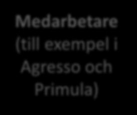 Ladok) Medarbetare (till exempel i Agresso och Primula)