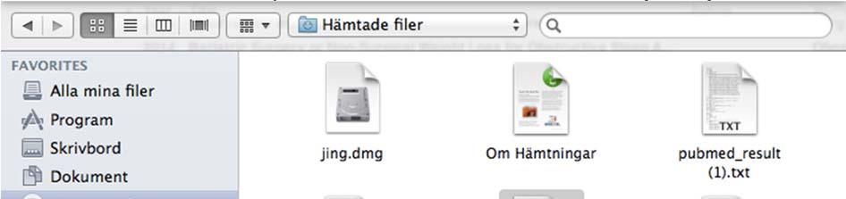 Öppna ditt EndNotebibliotek. Klicka på File och sedan Import.
