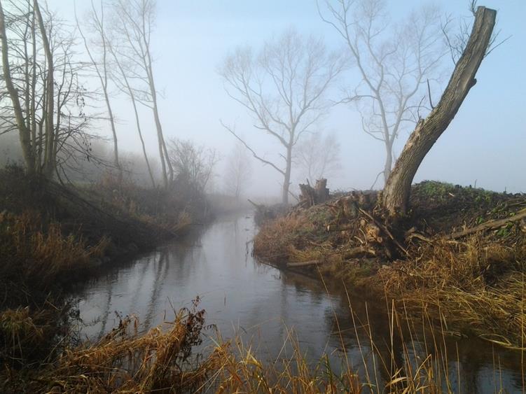 Braån Tämligen litet avrinningsområde, ca 80 km 2 uppströms BT Kemi Stor del jordbruksmark.
