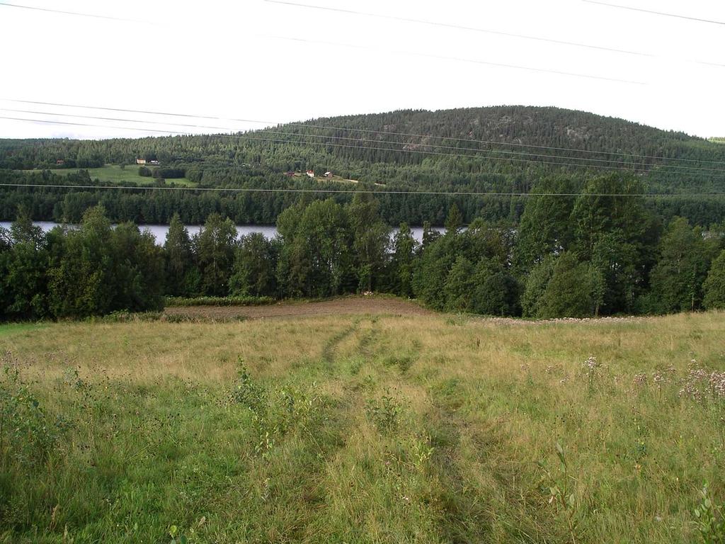 Gravhög och boplatsspår i Stige, Indal Raä 36:1 Fig 4. Vy från Silverknösa ner mot Indalsälven. Platsen för högen 36:1 markerad. den understa delen av högen.
