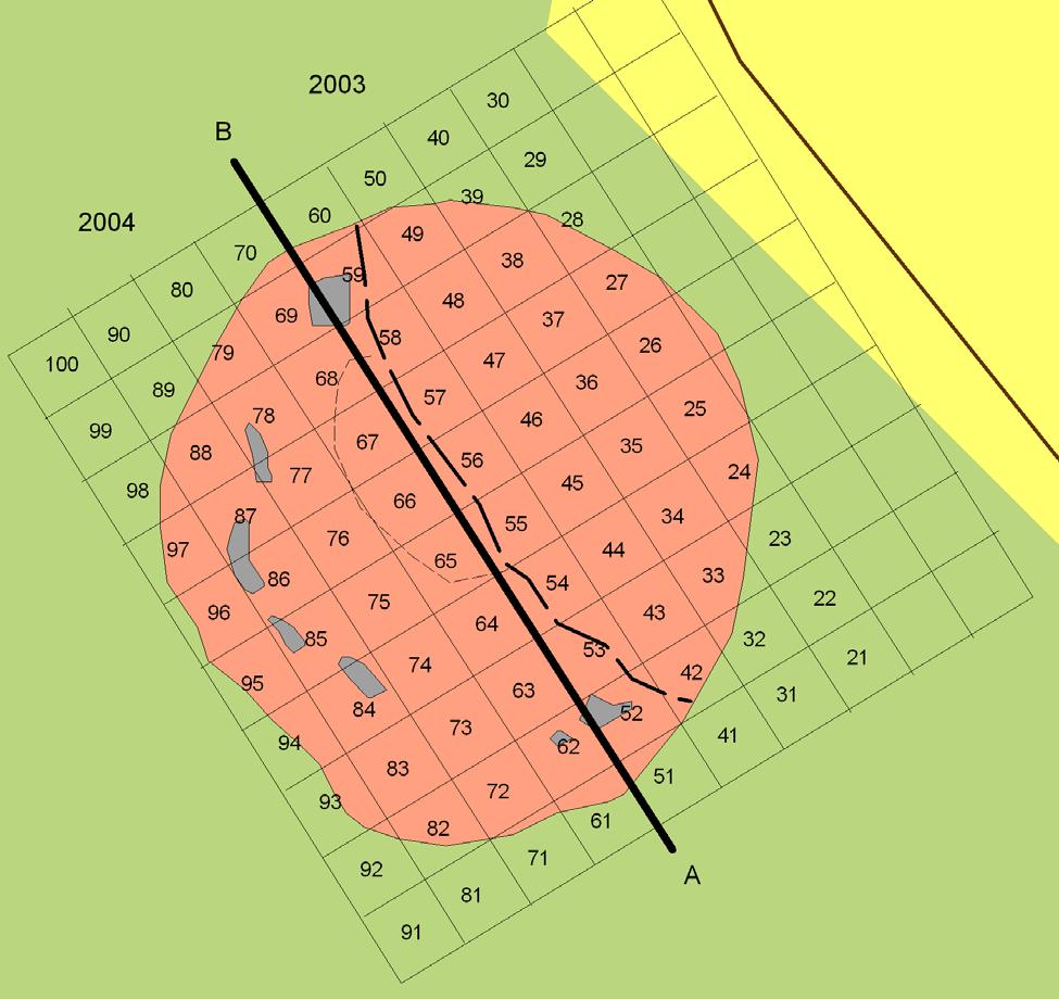 Gravhög och boplatsspår i Stige, Indal Fig 7. Rutnätet som upprättades i samband med den öppna undersökningen 2003.