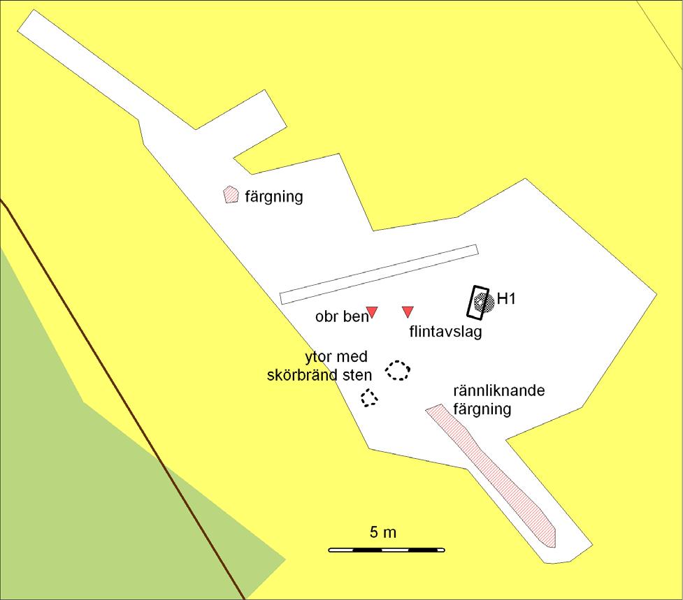 Umark 56 Fig 16. Schaktplan över ytan med boplatsspår på den nedre terrassen SÖ om graven och de anläggningar som var tydligast.