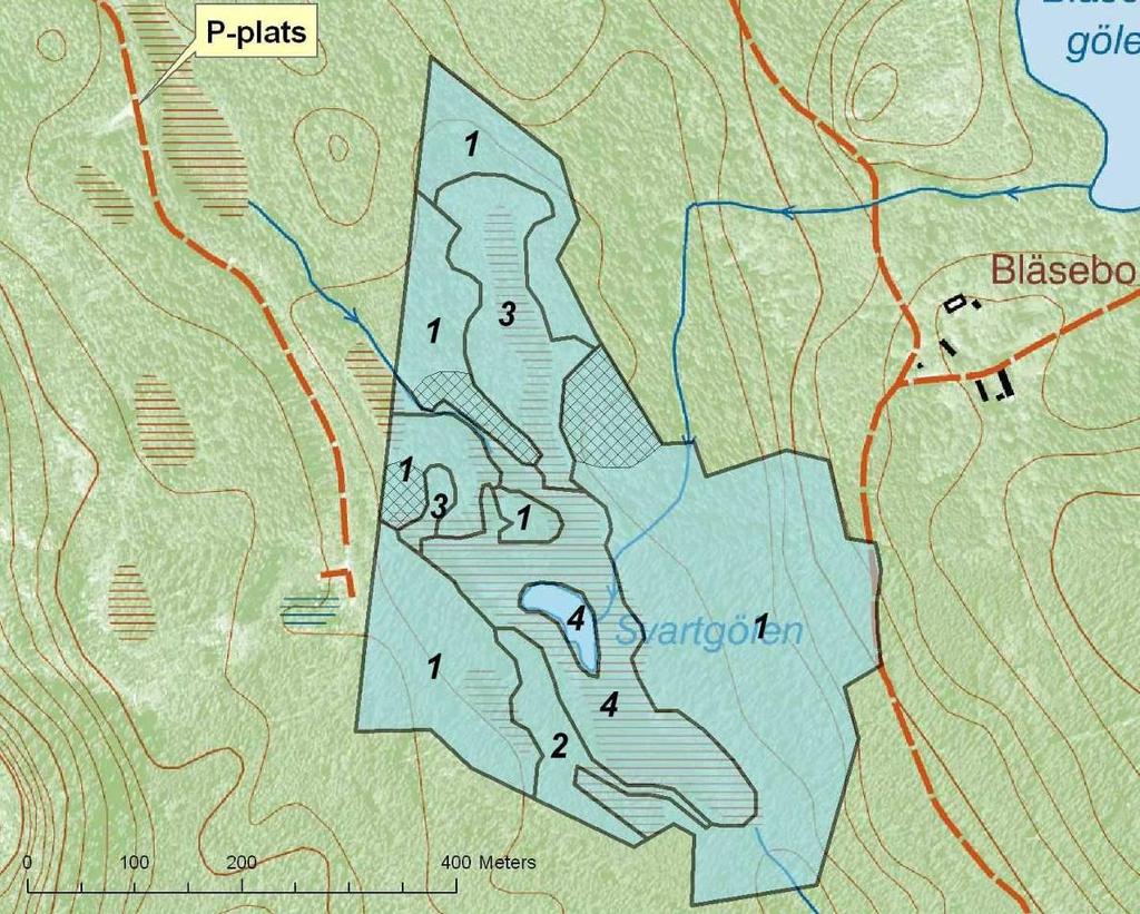 Skötselkarta 1- inom de rastermarkerade ytorna i skötselyta 1 ska åtgärder som gynnar gamla tallar genomföras för att skapa en ljusöppen åsbarrskog.