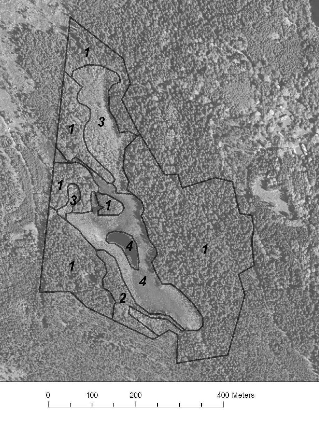 bränna, 3) sumpskog, 4) öppna kärr samt Svartgölen.