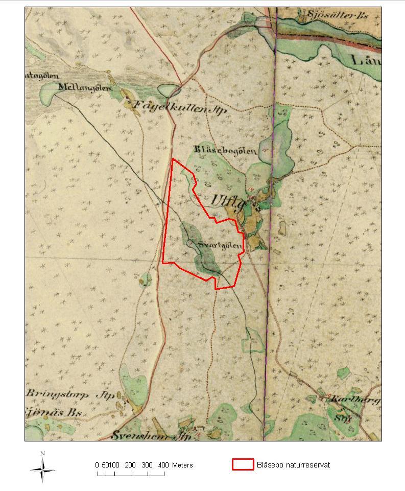 3.2 Historisk och nuvarande markanvändning Historiskt sett har huvuddelen av skogen sannolikt utnyttjats för skogsbete (sk utmarksbete).