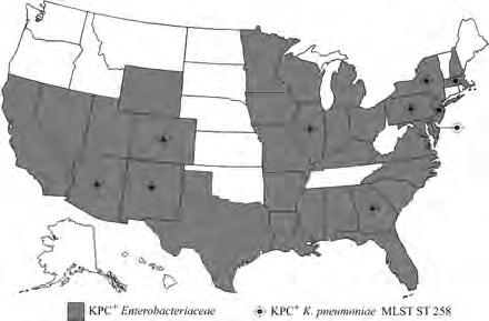 K. pneumoniae ST258 Klon som så långt är intimt förknippad med spridning av karbapenemasen KPC Initialt USA, sedan Israel, Grekland och