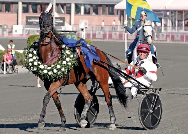 2005-2016 Här är några av hästarna som bjudits ut på Kolgjini Sales 2005 till 2016. Den 31 augusti kan du hitta din stjärna! MOSAIQUE FACE PLATON FACE 2012 OWEN FACE 1.11,8a 1.062.