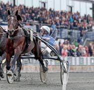 S tallbackssidan på Plouscat på bortre långsidan formas av hästtransporter i massor.