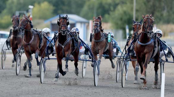 BREEDERS COURSE 2018 UTTAGNINGSLOPP TVÅÅRINGAR 26 augusti Charlottenlund 12 september Solvalla 22 september Wolvega 10 oktober Jägersro Final 27 oktober Jägersro UTTAGNINGSLOPP TREÅRINGAR 8 juni