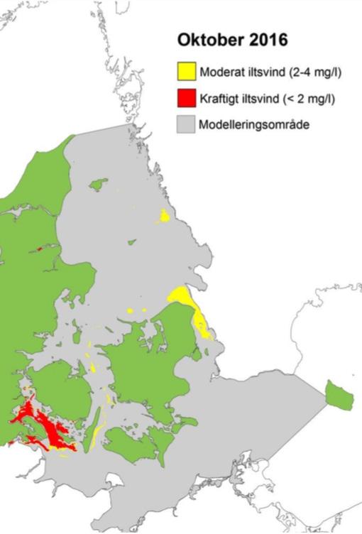 akut syrebrist (< mg/l eller <, ml/l).