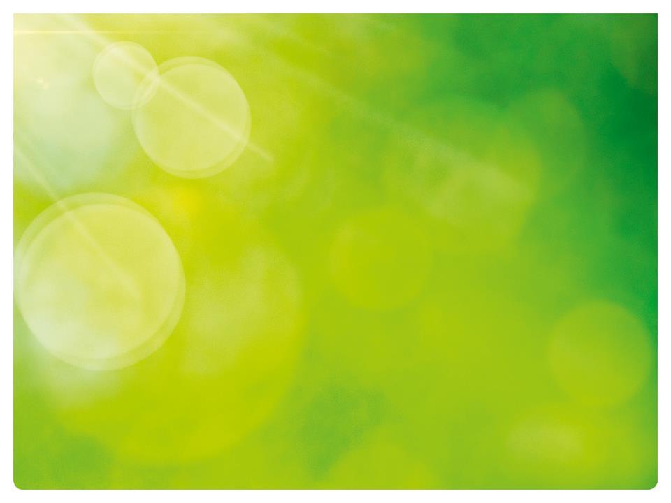 SIP-Samordnad Individuell Plan Case