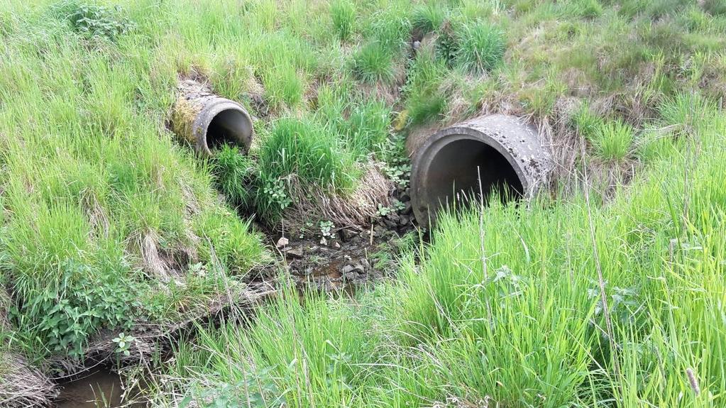 Vid utloppet finns ytterligare en betongtrumma (D) som mynnar i det befintliga diket. Trumman (D) har dimensionen 500mm och består av betong. Ledningen avvattnar den östra sidan av Gåsevadholmsvägen.