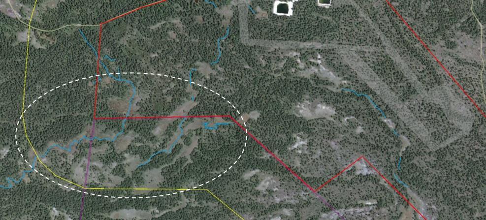 Båda alternativen innebär att den vegetation som utgör den naturtyp som ska bevaras i Natura 2000-området kommer ändra sammansättning, genom att andra arter än de som nu finns i rikkärren tar över.