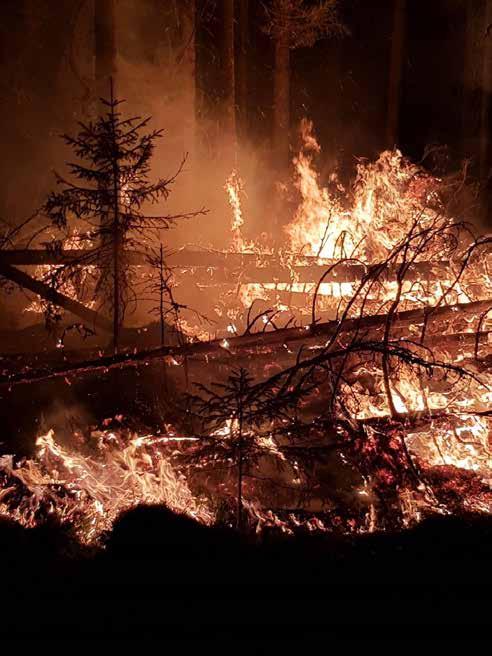 SKOGSBRÄNDERNA 2018 17 Totalt brann 18 000 hektar skog ner i