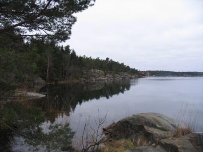 Naturvärdesinventering Hummelvik 1:1, Gryt, Valdemarsviks kommun inför