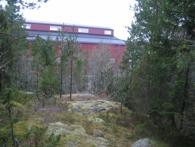 OMRÅDE 1: UNGSKOGSBESTÅND SOM DOMINERAS AV TALL 1a, 1b, 1c och 1d.
