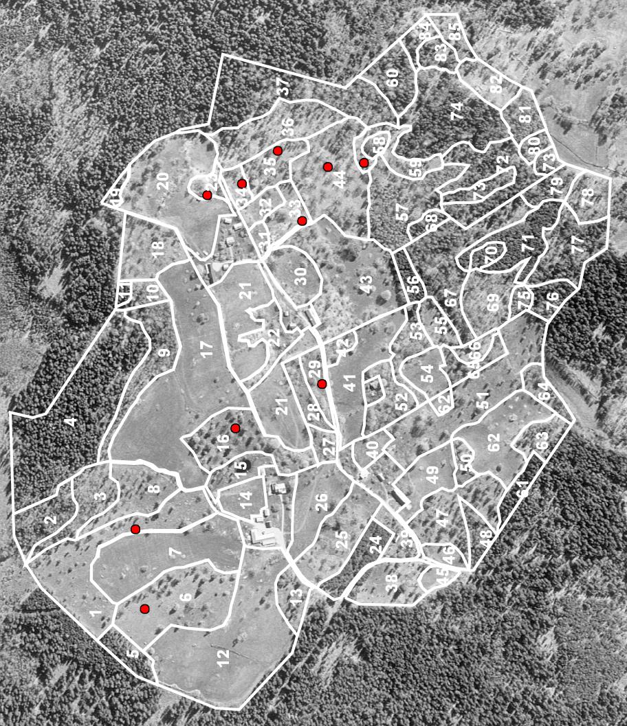 B. Översiktskarta, områdesindelningar och provrutor Provrutor markerade med röd cirkel.