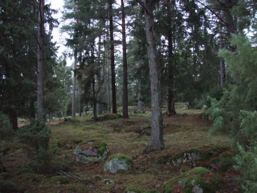 Naturvärdesobjekt yrkabrattebro backe Objekt ID 112 Robert Björklind Äng och betesmark Betad skog Natura 2000 naturtyp Visst Betad skog som är luckig och gles och har karaktär av betet.