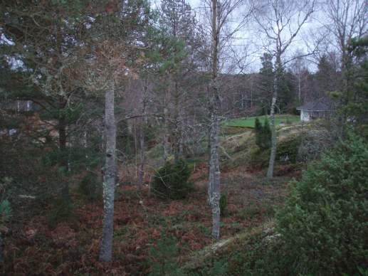 Naturvärdesobjekt yrkabrattebro backe Objekt ID 20 Robert Björklind Skog och träd Lövskog Natura 2000 naturtyp Bergig mark som har historia som betad mark.